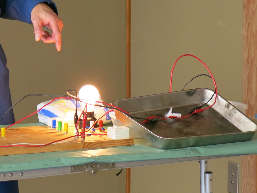 家庭の電気コードも