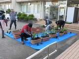 花苗植栽を実施しました🌼